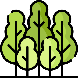 Tree icon