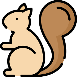 scoiattolo icona
