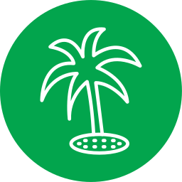 palmera icono