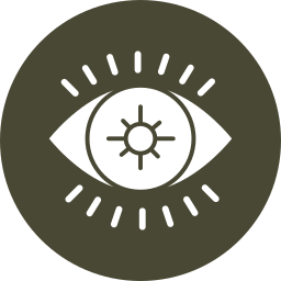 optometría icono