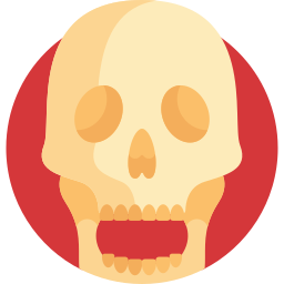 Skull icon