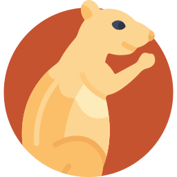 Meerkat icono