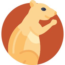 Meerkat icon