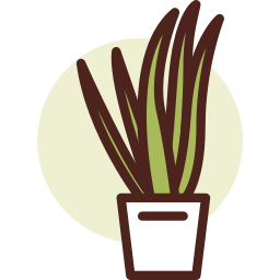 Aloe vera icon