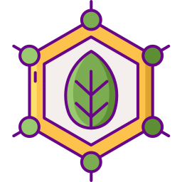 eucalipto icona