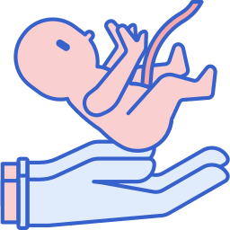 Childbirth icon