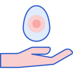 Egg donation icon
