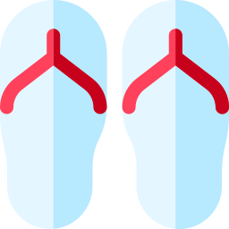 Flip flops icon