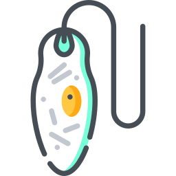 Euglena icono