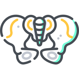 Pelvis icon