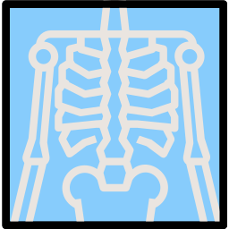 Рентгеновский снимок иконка