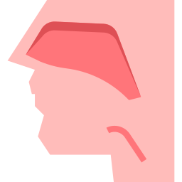 Otorrinolaringología icono