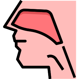 Otorrinolaringología icono