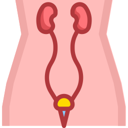 Urología icono
