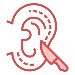 Ear आइकन