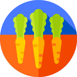 Zanahorias icono
