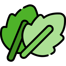 Leaves icon