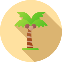 Coconut tree icon