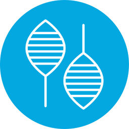 Snowshoes icon
