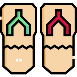 Sandals icon