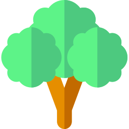 Broccoli icon