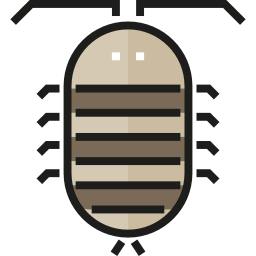 Bedbug icon