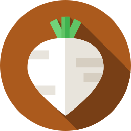 Beetroot icon