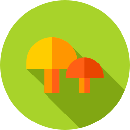 Mushrooms icon