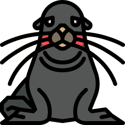 Sea lion icon