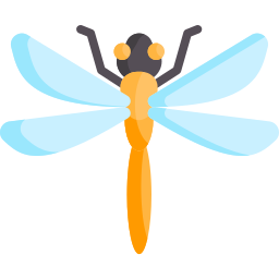 Dragonfly icon