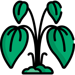 Planta icono