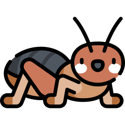 Potato bug icon