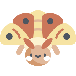Moth Ícone