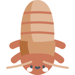 madagaskar sissende kakkerlak icoon