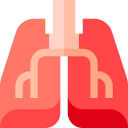 Pulmones icono