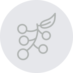 serbal icono