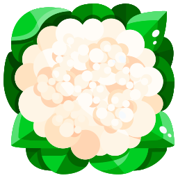bloemkool icoon