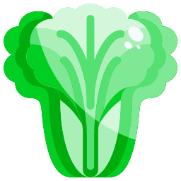 grüner salat icon