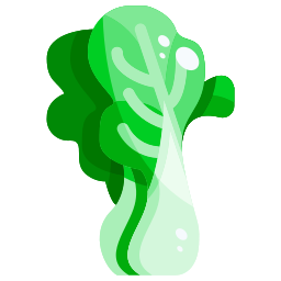 Cabbage Ícone
