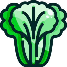 Lettuce icon