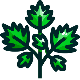 Parsley icon