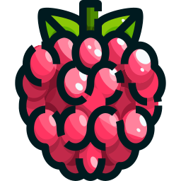 framboise Icône