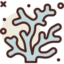 Coral icon