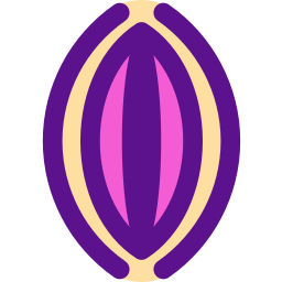 Vagina icono