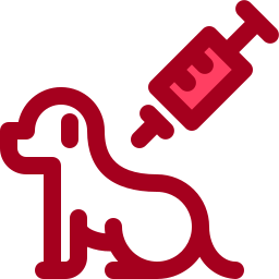Animal vaccination icon
