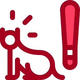 동물 학대 icon