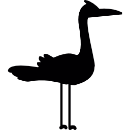 flamingo Ícone