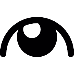 Eye with shine in pupil icon