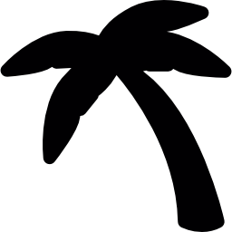 stojące drzewo kokosowe ikona