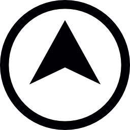 Pointer inside a circle icon